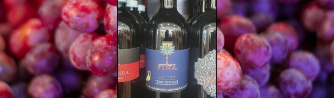 Cantine Fina | Merlot da 75cl